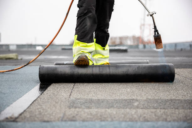 Best Roof Maintenance and Cleaning  in Sconsin Rapids, WI